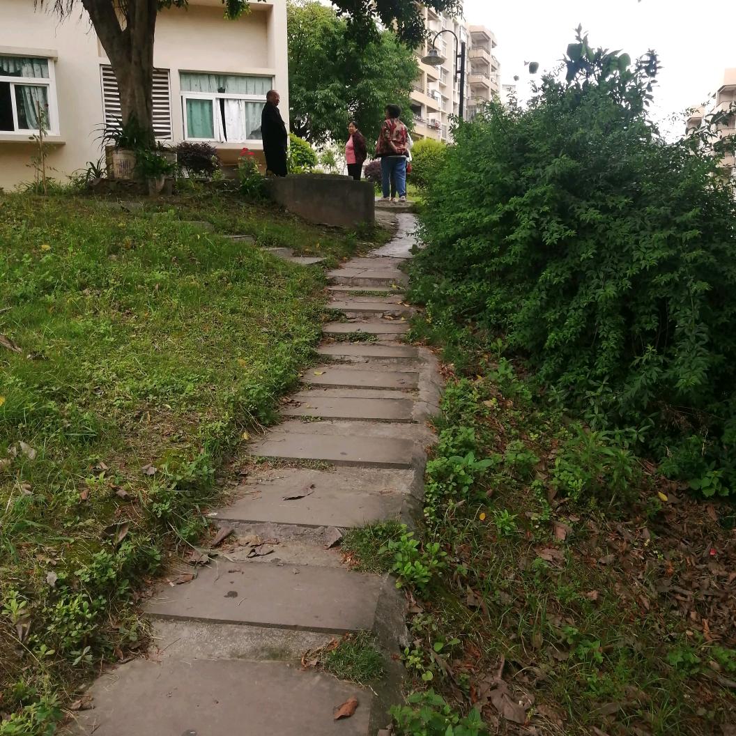 七欢