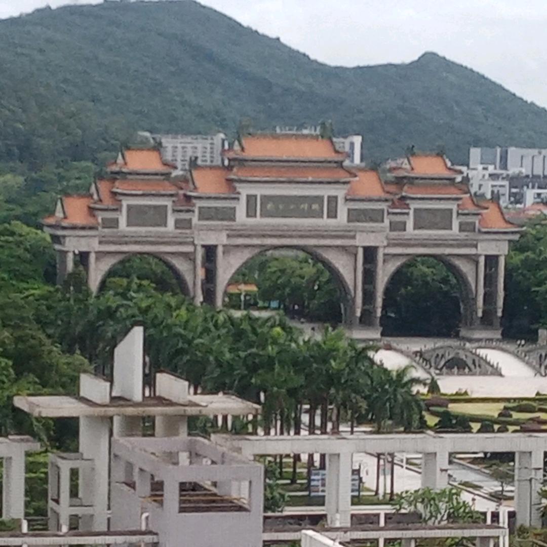 阳光小老头
