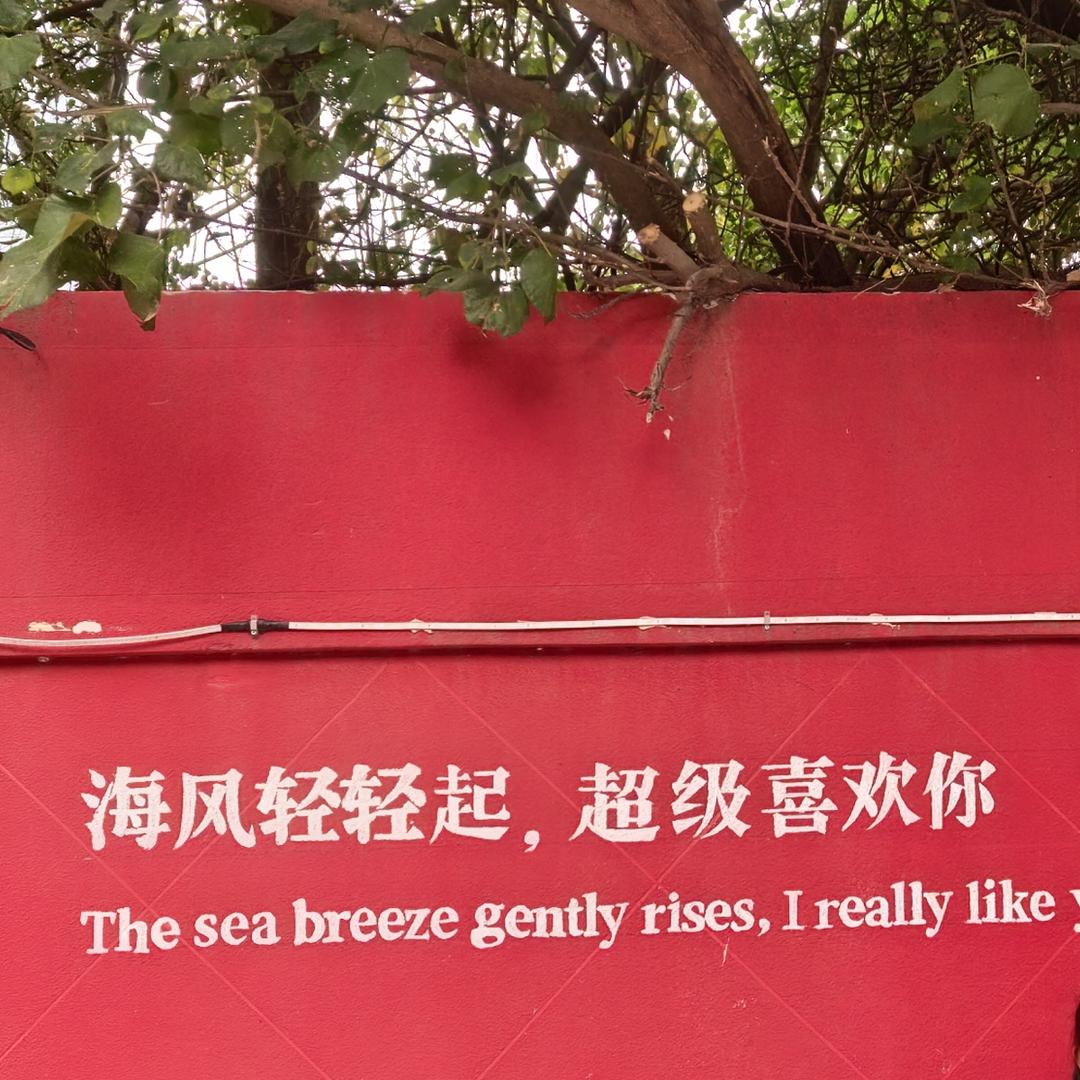 好好睡🫧
