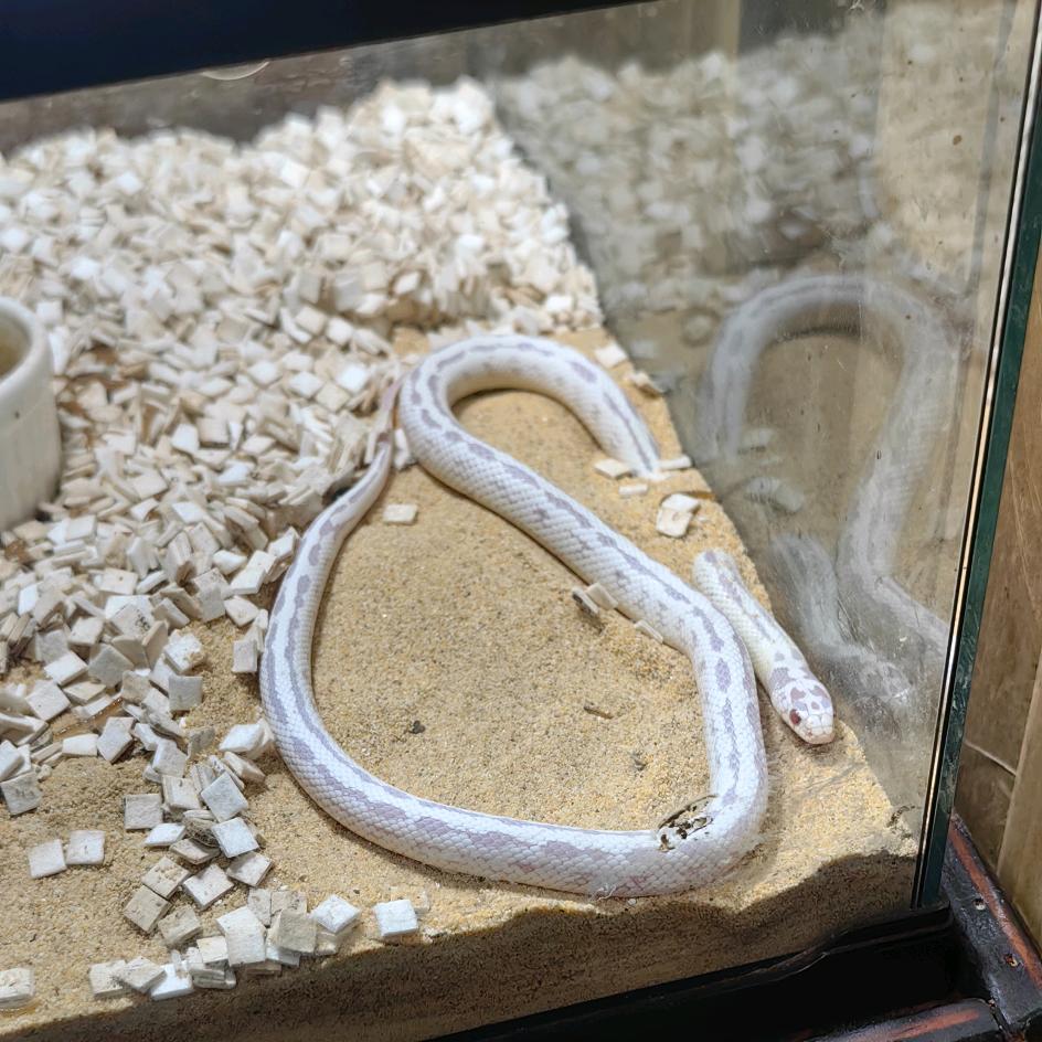 🇨🇳山东H🇨🇳