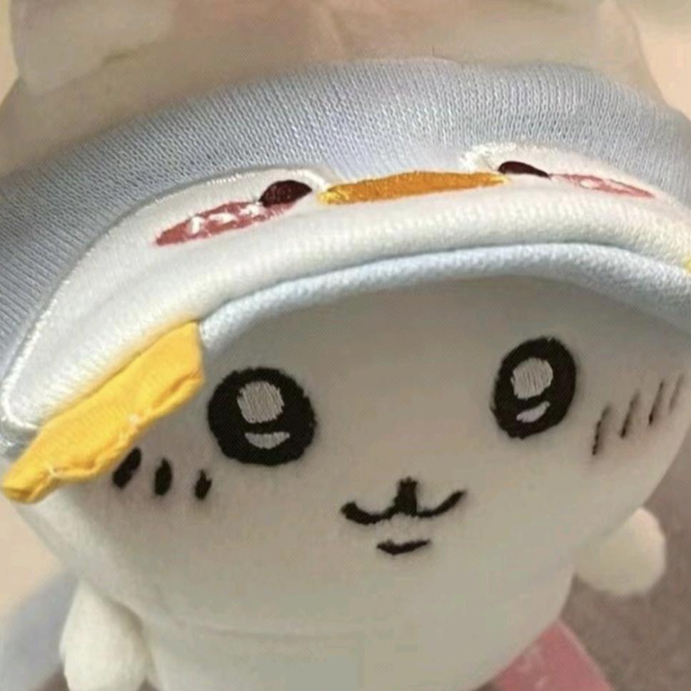 满山猴子我腚最红🐒