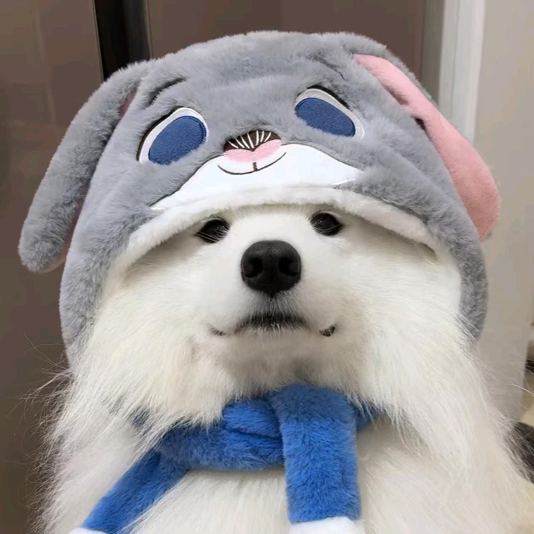 杨桃&