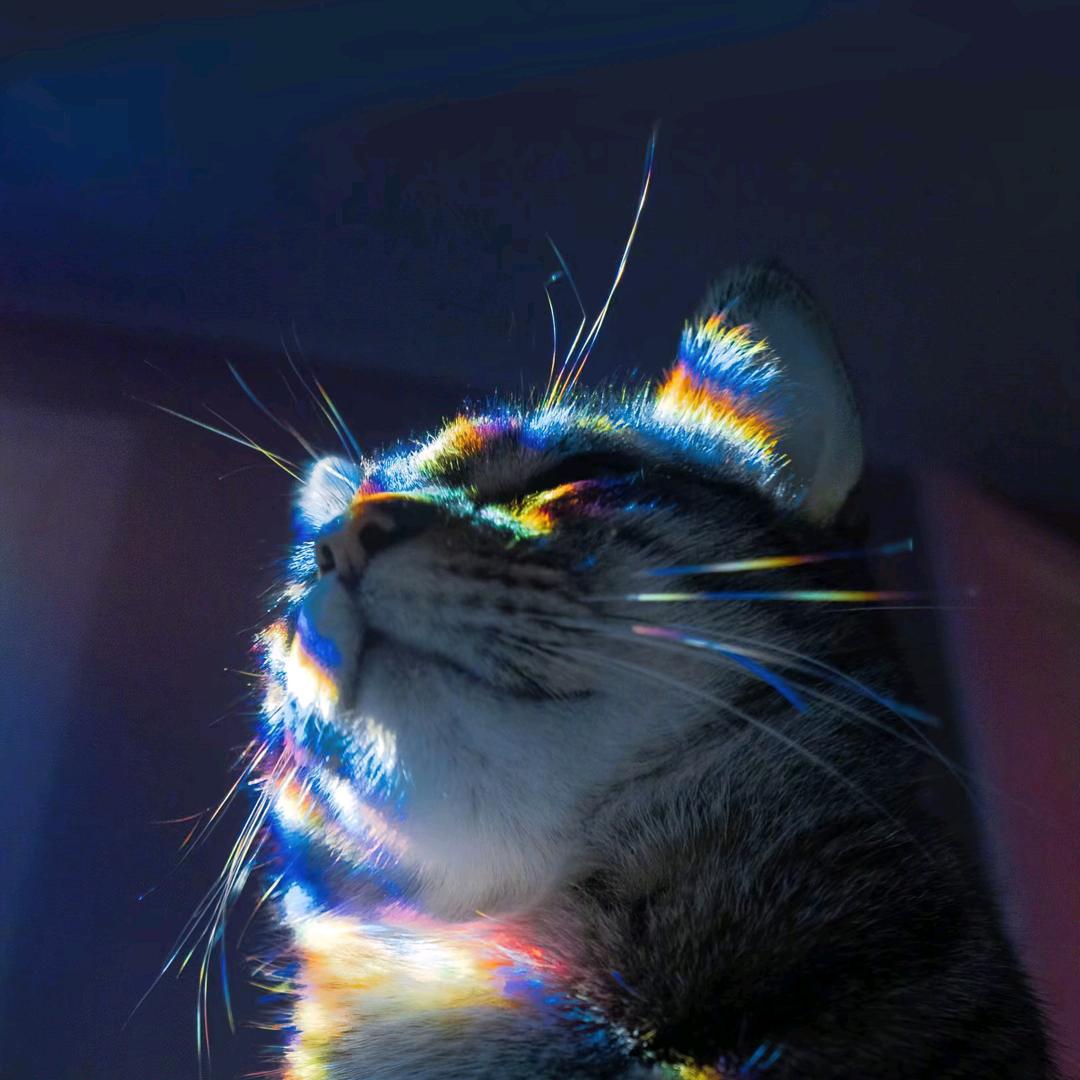 还继续（自律版）