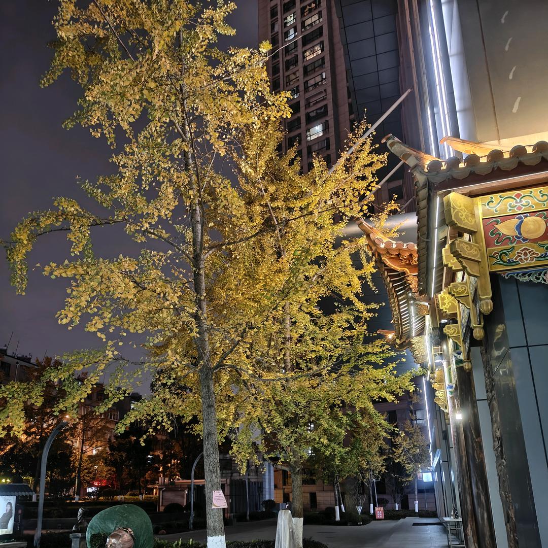 正能量+