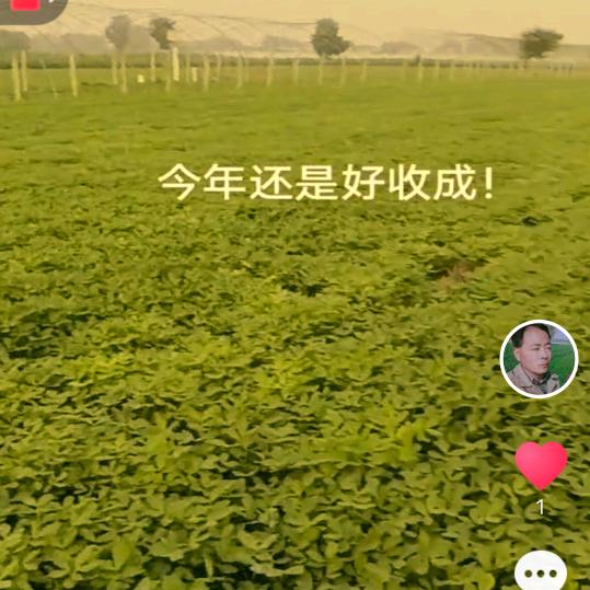 好人一生平安