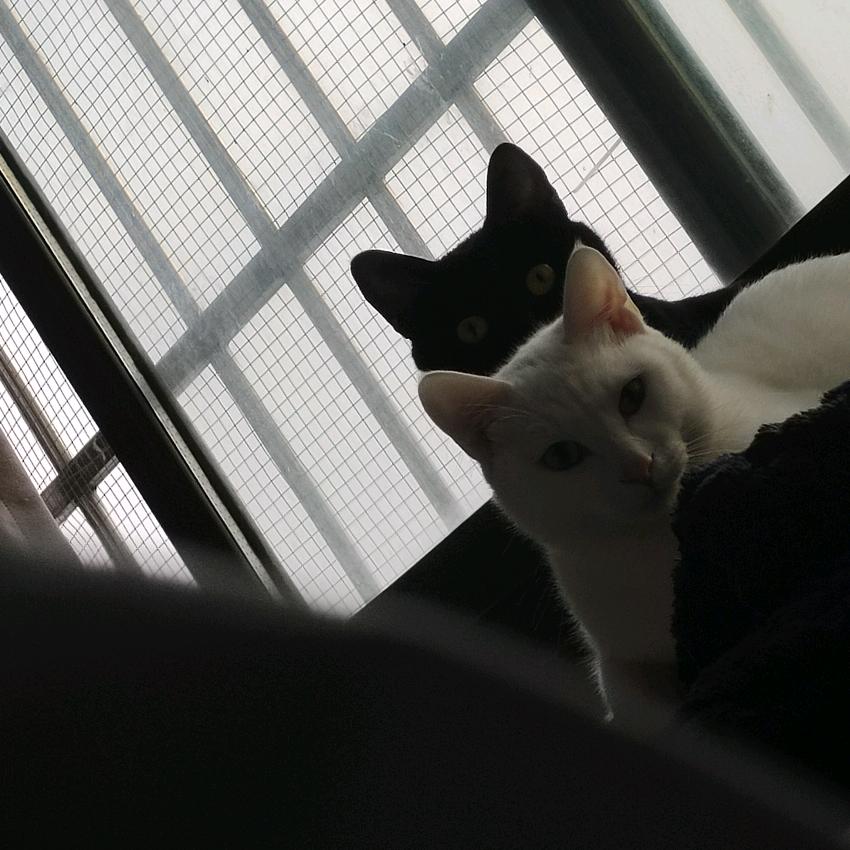 云点