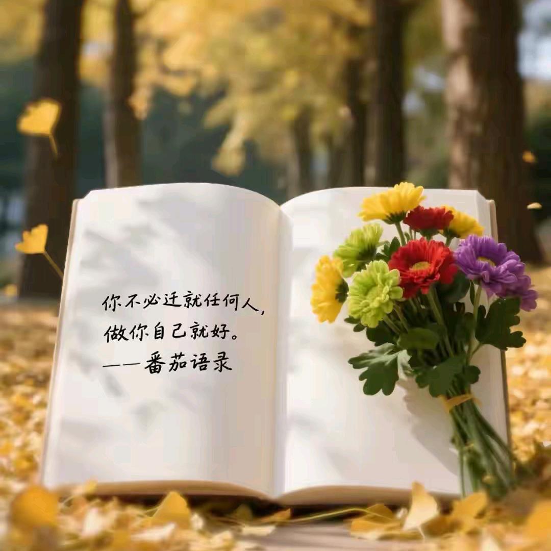 云南高中升学规划胡老师
