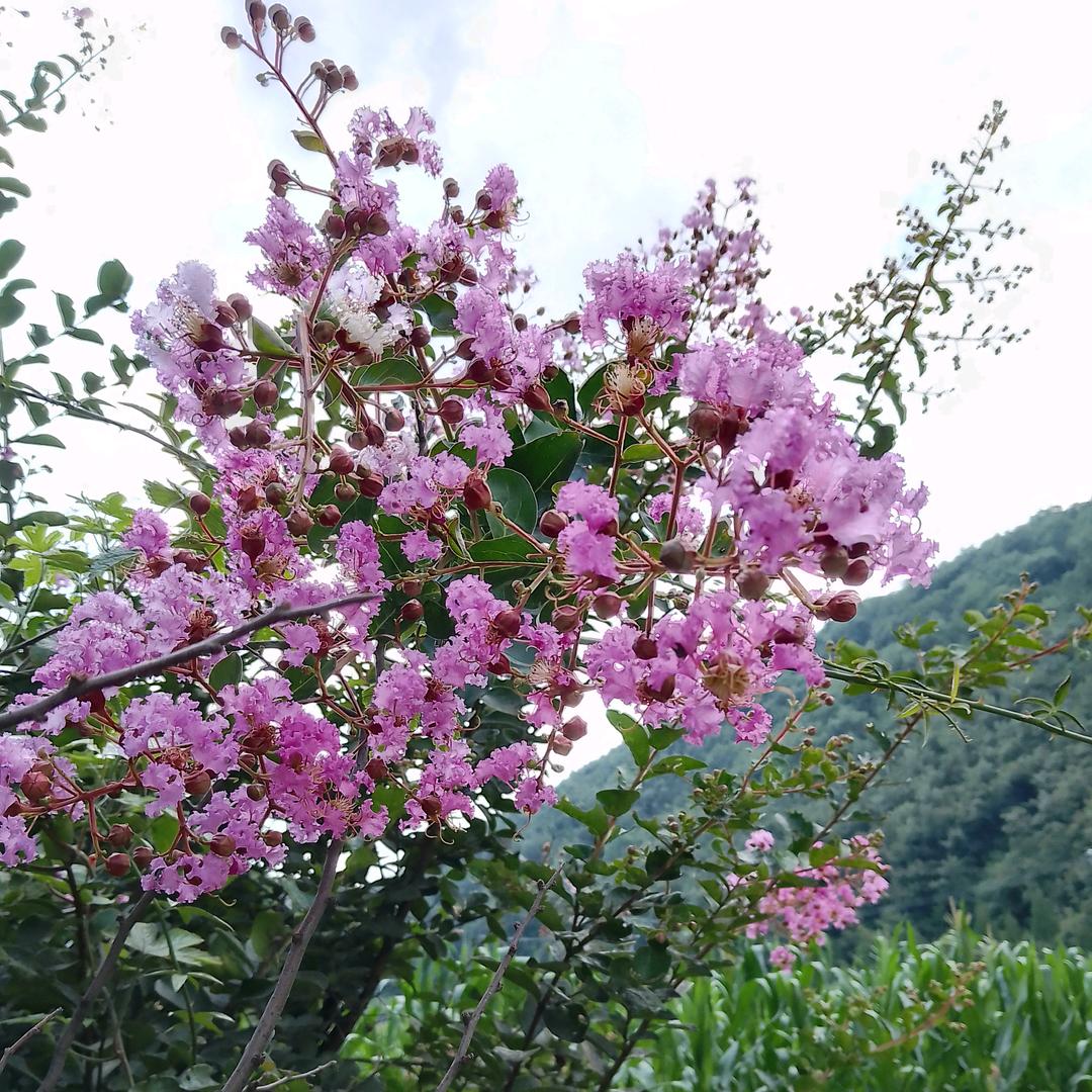 一 切 随 缘