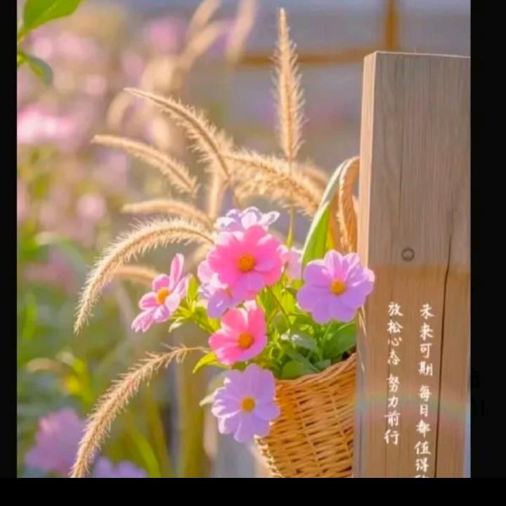 董欣暖欣光遇