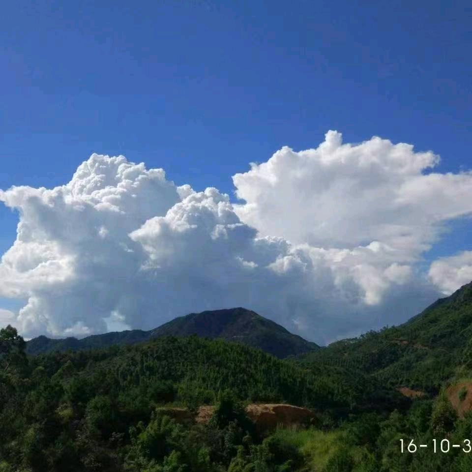 随心流浪