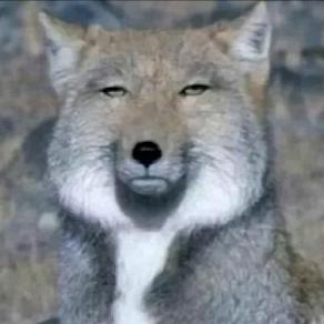 灰鸦🐬poison⁰¹¹⁵