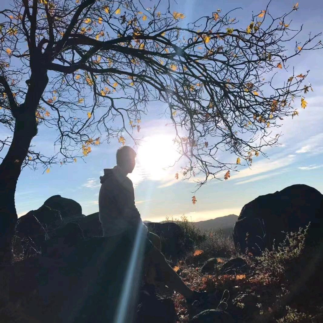 江苏招考 戴老师