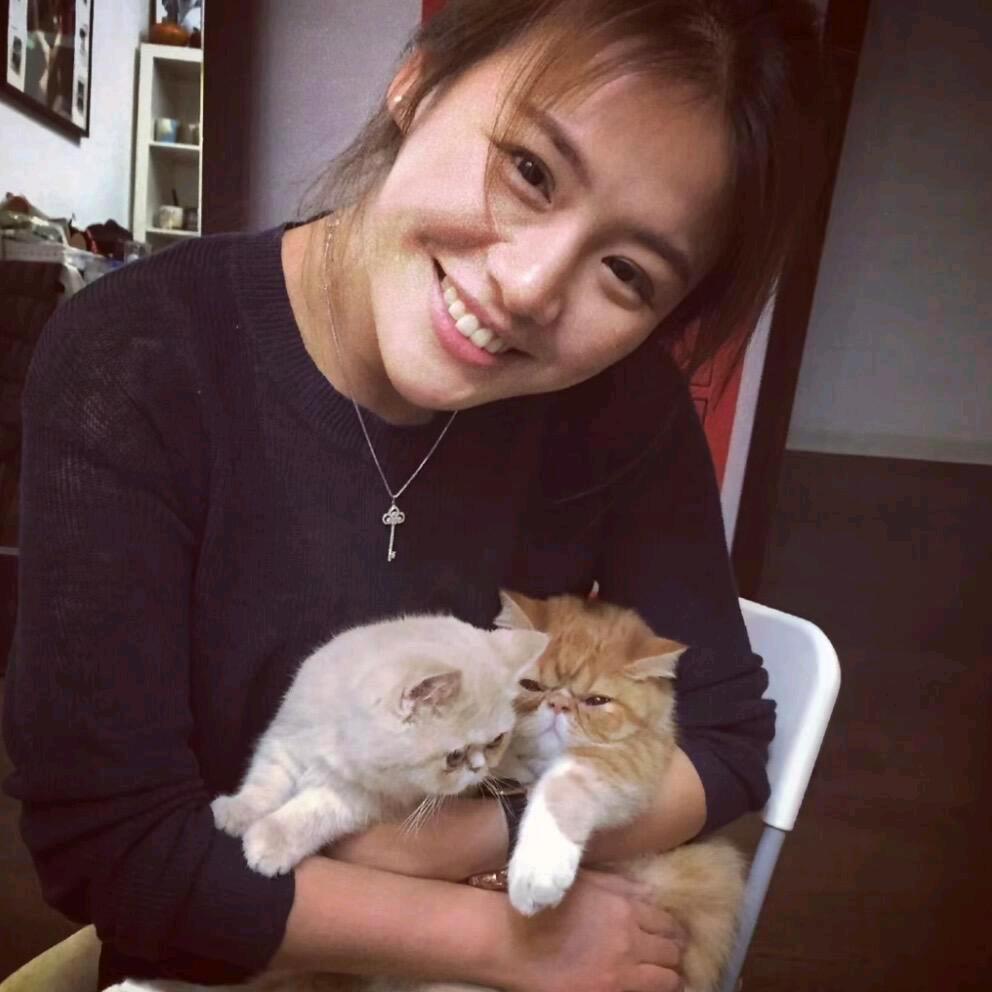 一只脆弱敏感的cat