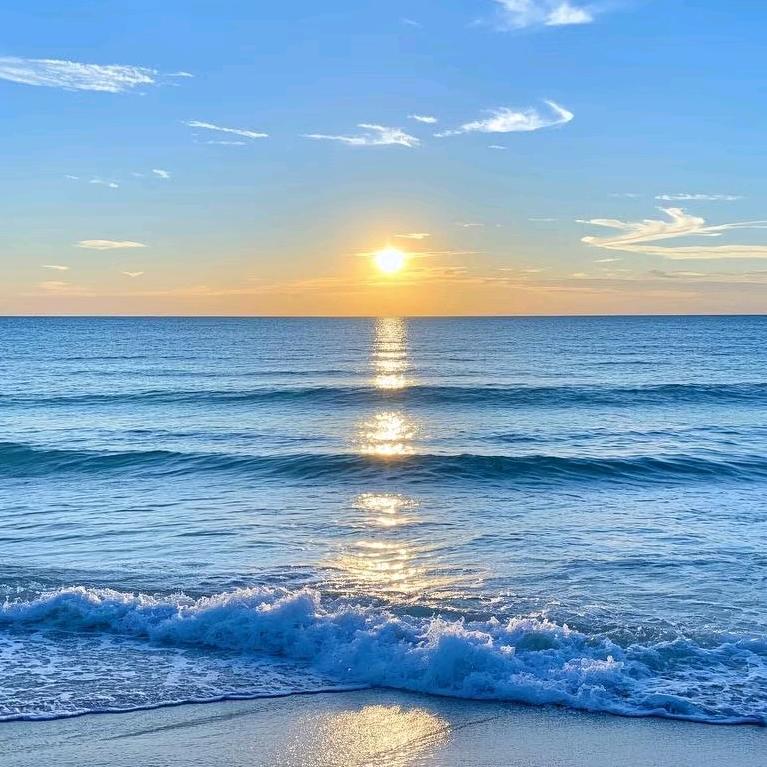 叶子带你去旅游