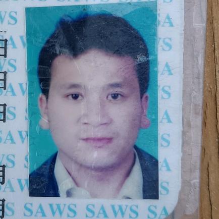 阳光下的元宝