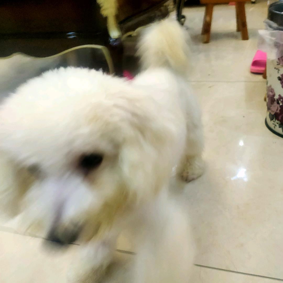 萱萱妈妈～头像