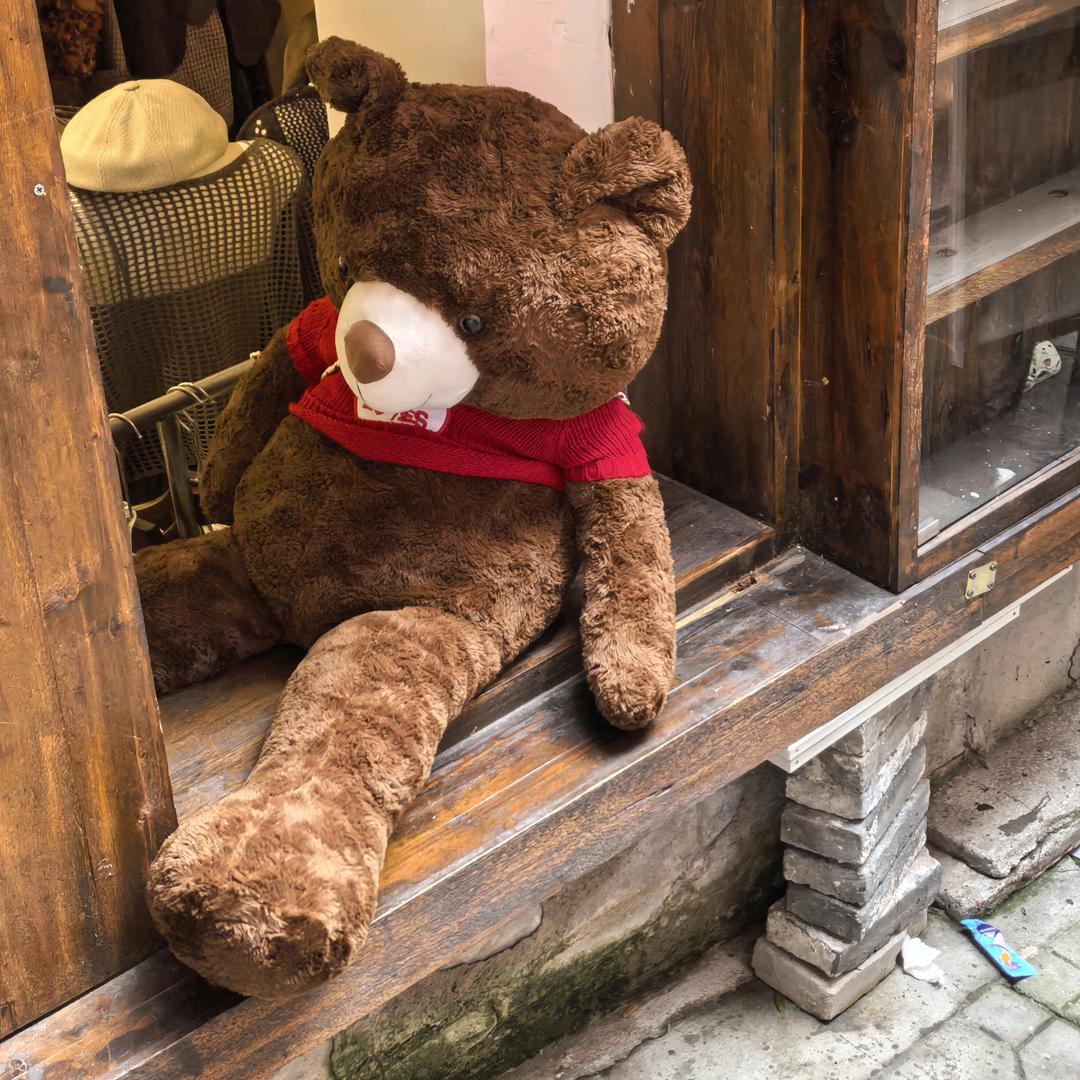 月亮上的垂耳兔