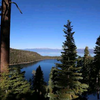 燕记海参源头直供