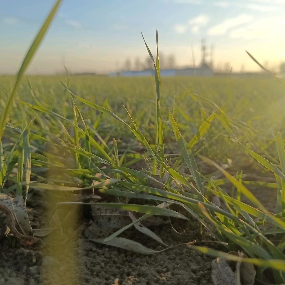 中国石油唐山乐亭华龙91加油站