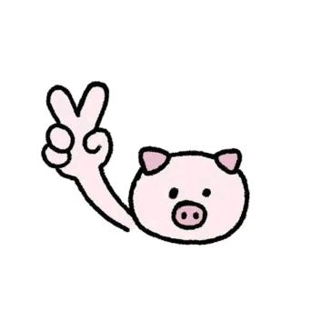 小珠不圆