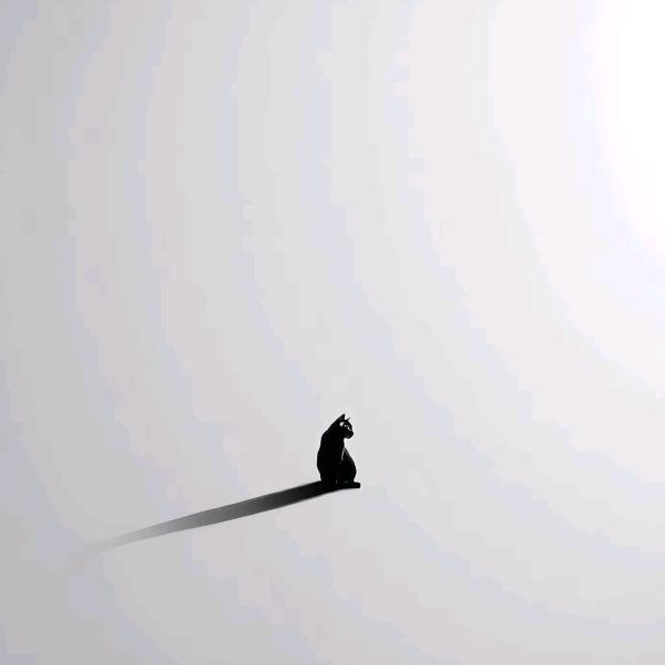 X.