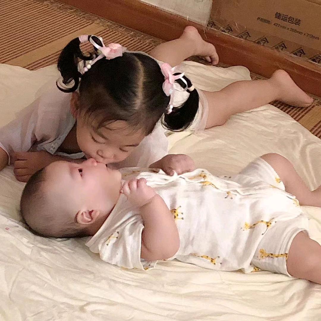 专业电动车运输