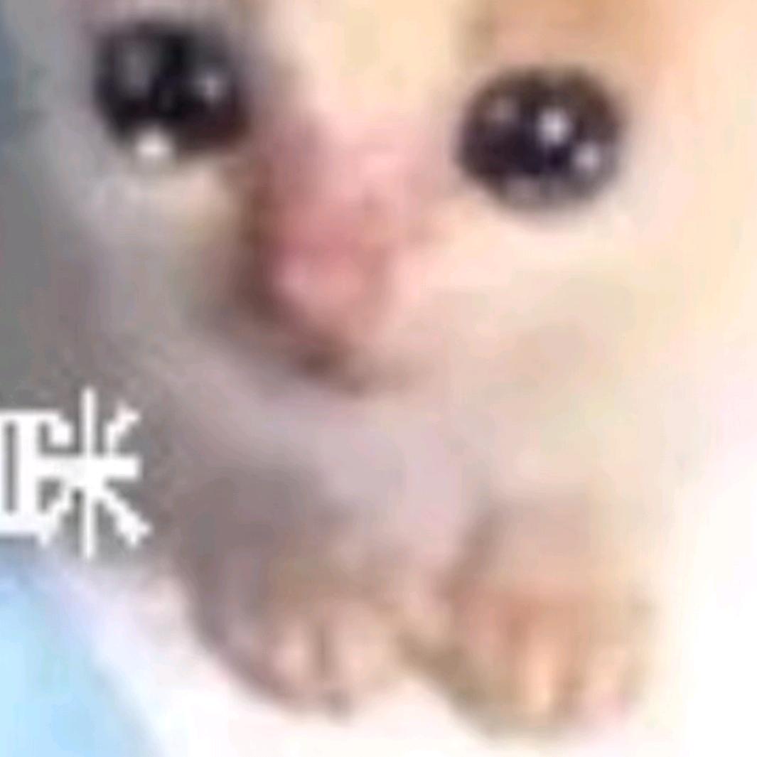 一碗香香的食人鱼