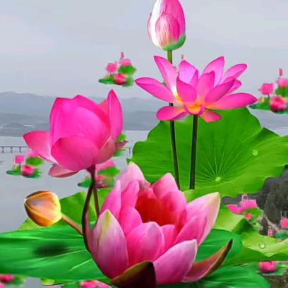 快乐每一天❤️》