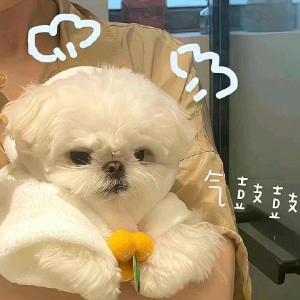 沈夕