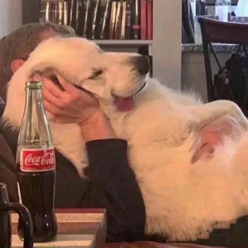 嘿Siri打开我的相册