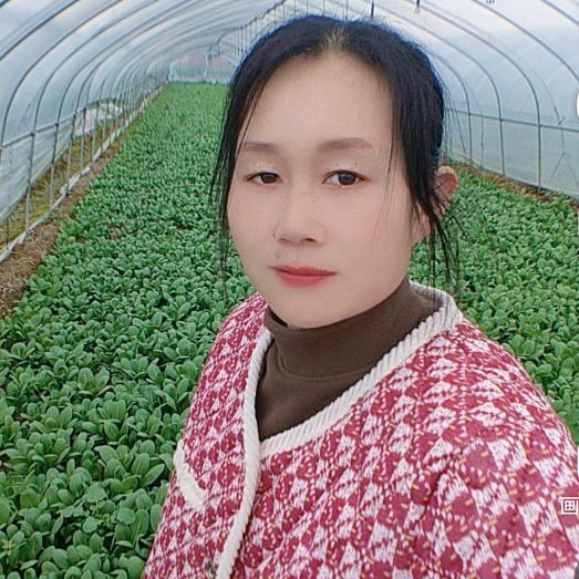 青菜姐(早上4；50开播）