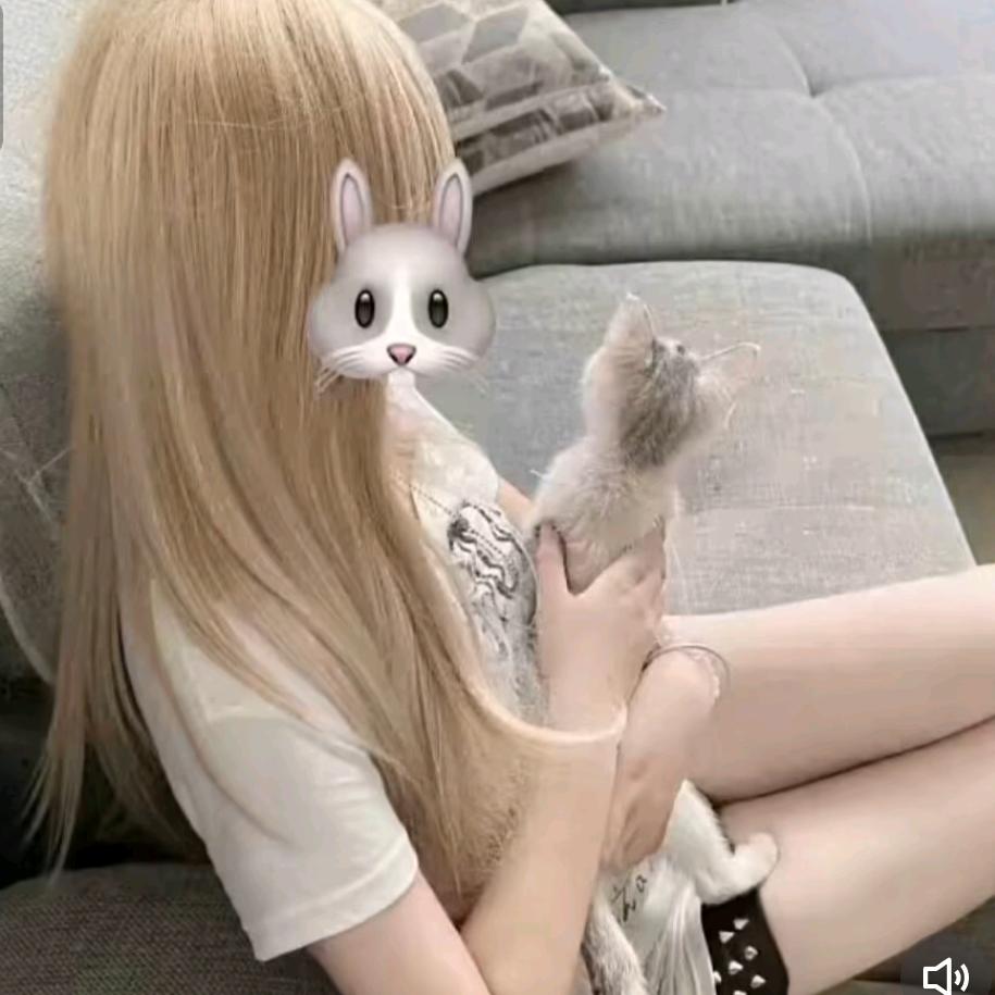 燕轩崽崽(冲1000粉)