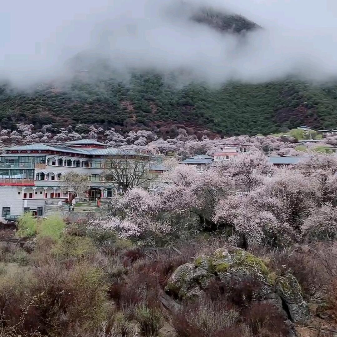 服务精进说