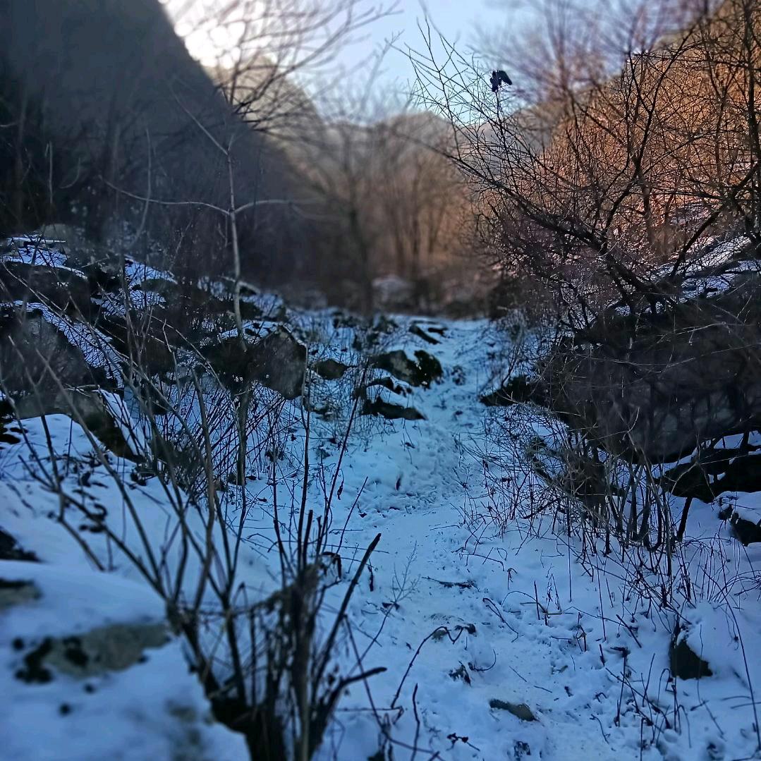 王山