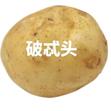 biu提佛普忒头