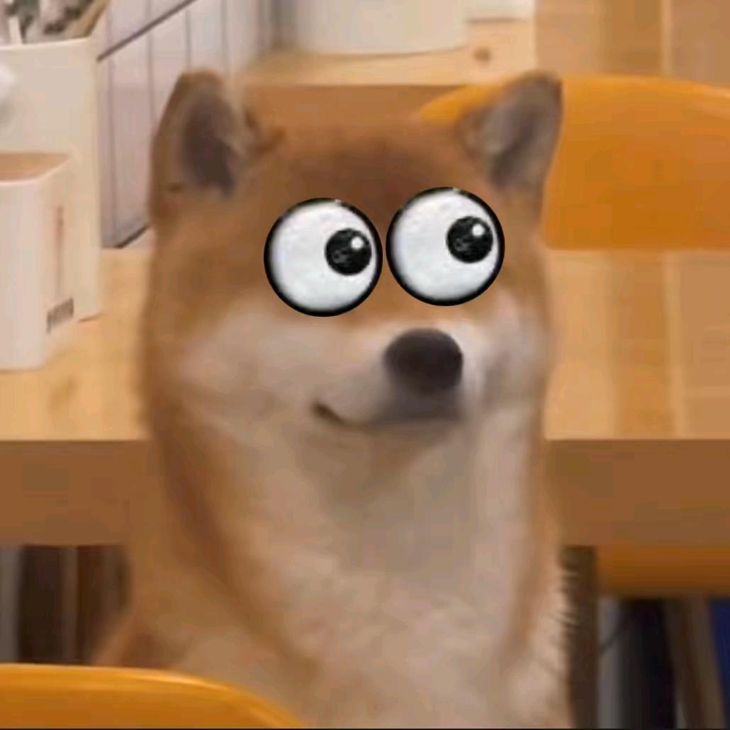 怎枝