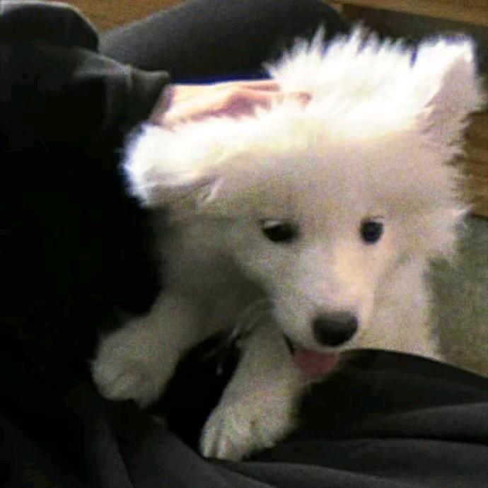 健康的快乐富豪