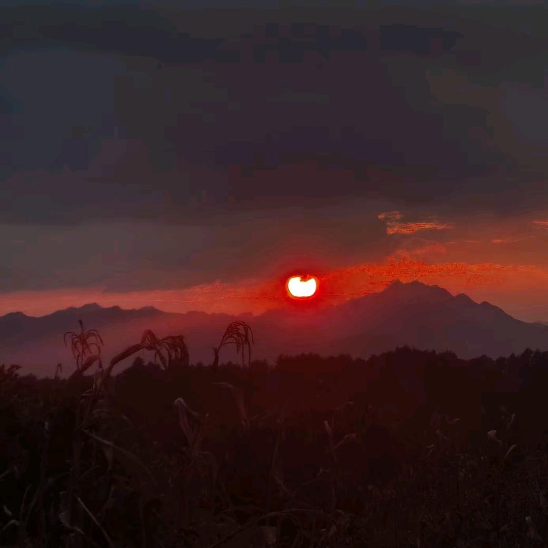 ❤️何🐇🐇🐇