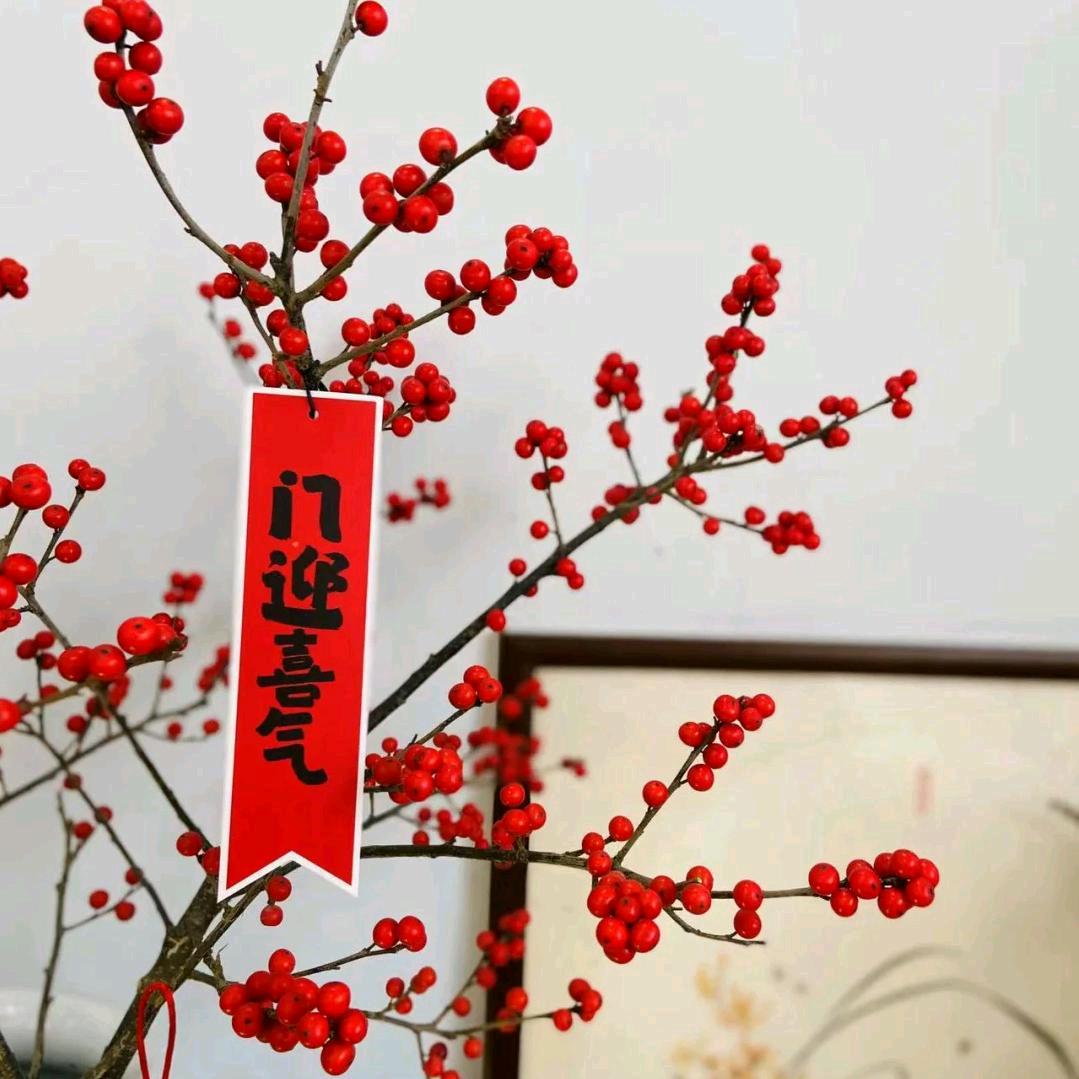 树满楼