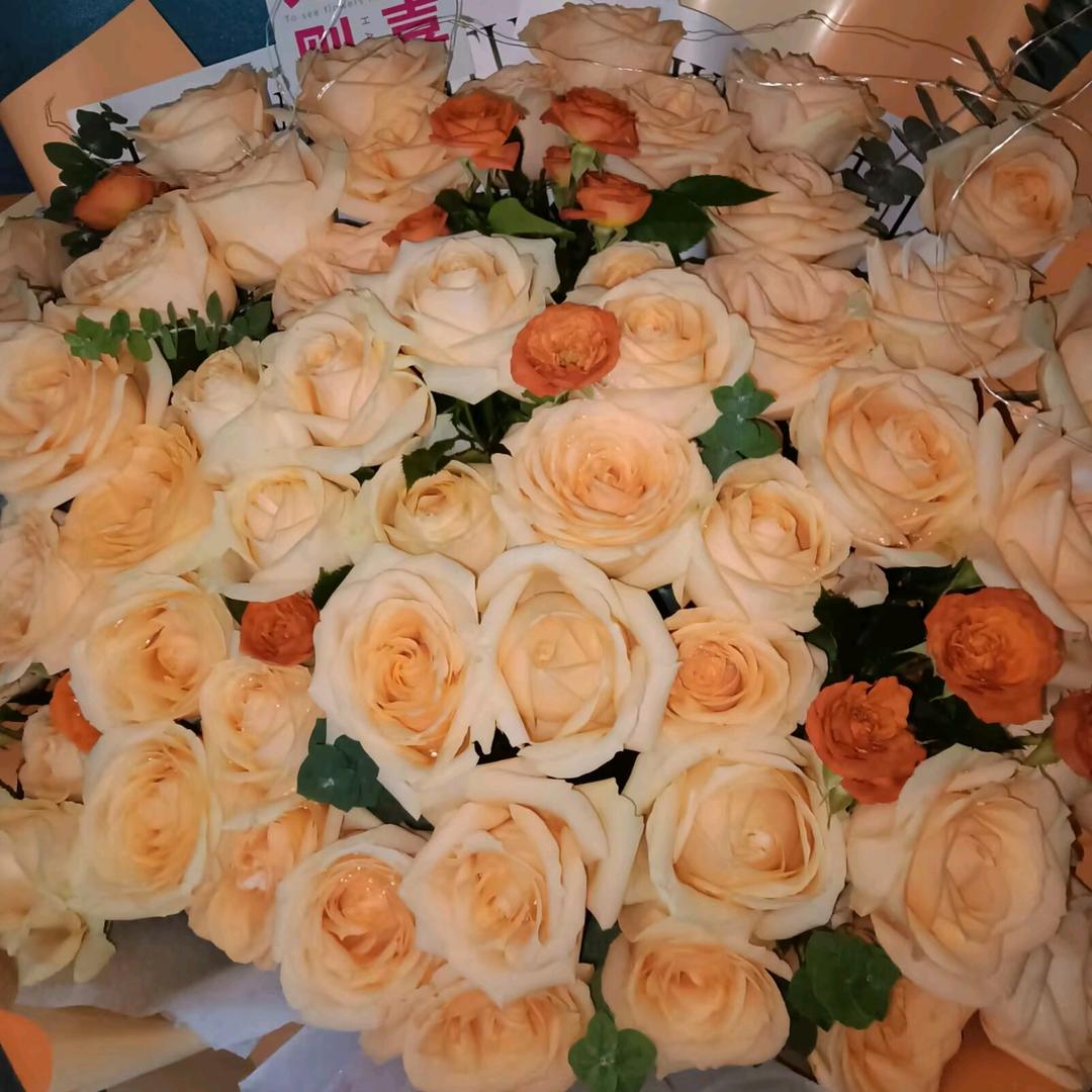 疯摆柳的小宝贝