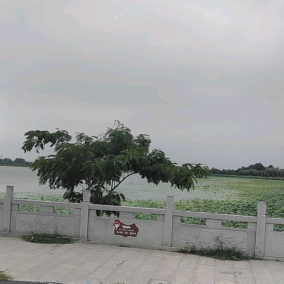 💞自渡꧔ꦿ᭄ 自愈ഒ᭄💕