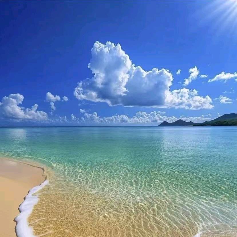 秋海