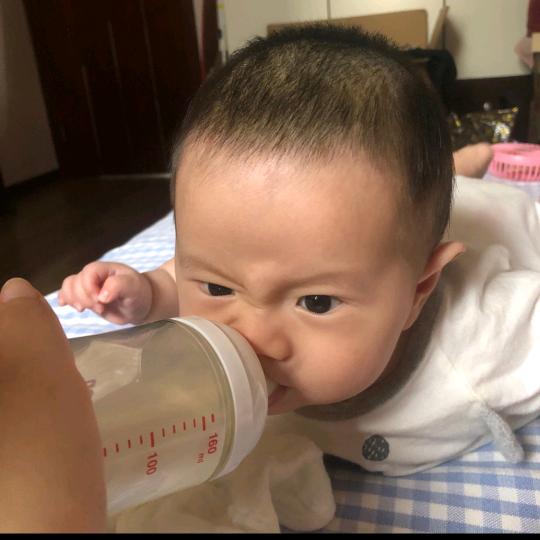 杰克崽子