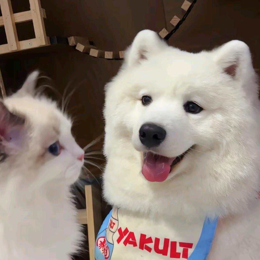 咦耶