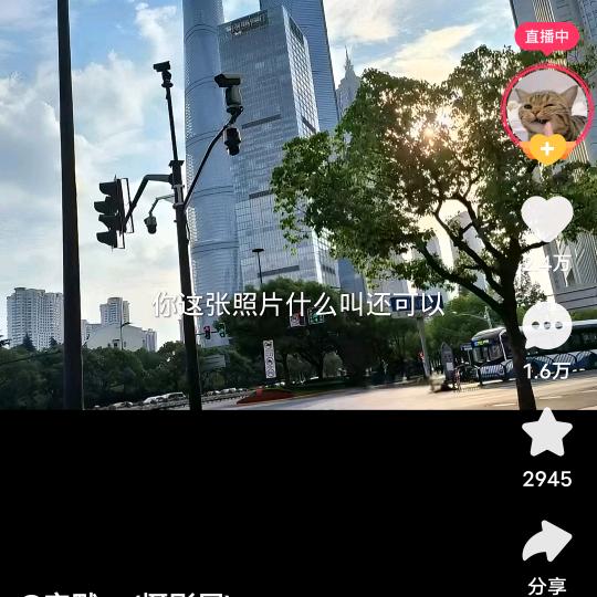 顺其自然