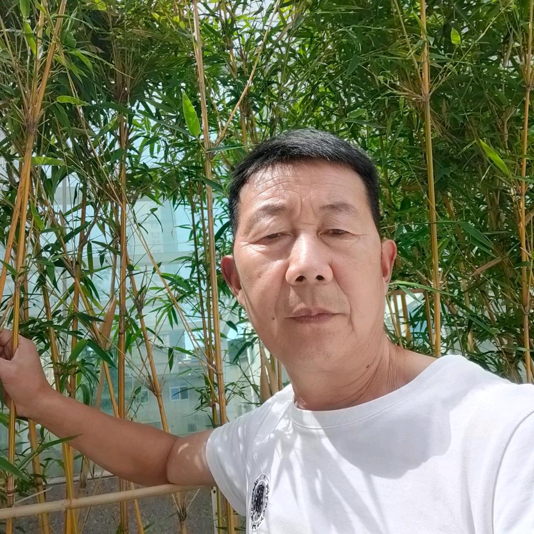 安康金辉泰养殖白山羊