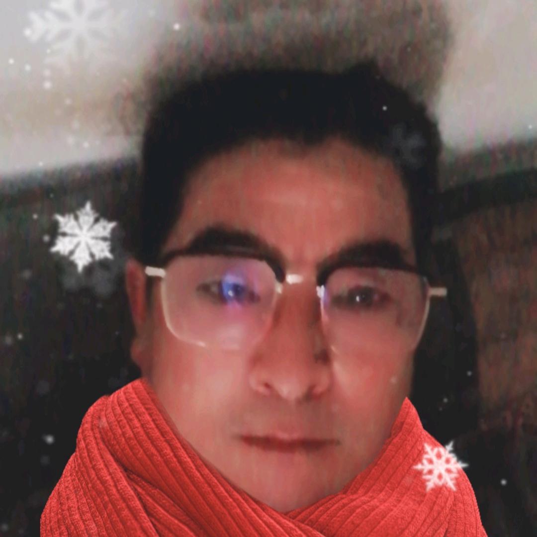 孤独的狼