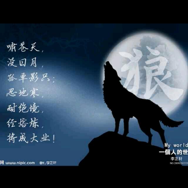 孤狼天涯