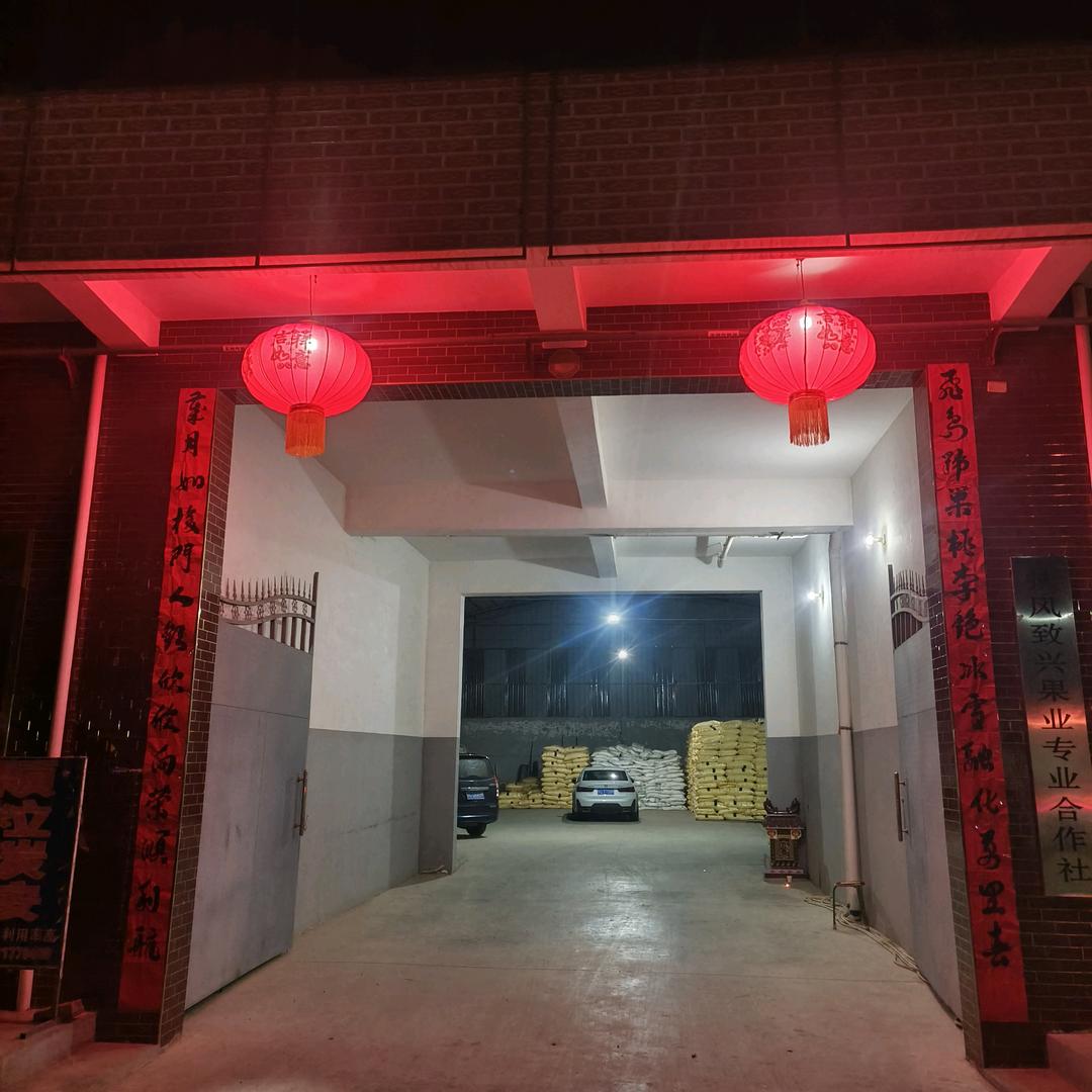 致兴