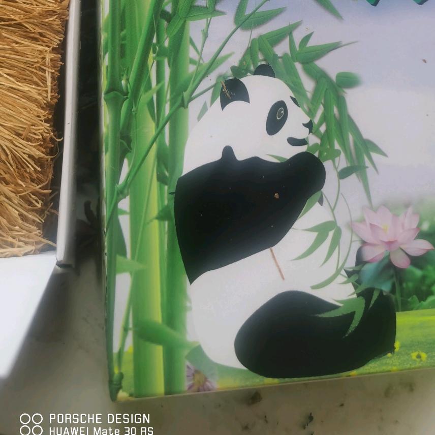@张张爱分享